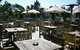 Terrigal Hotel - thumb 0