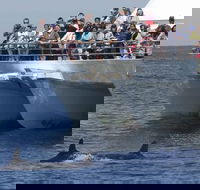 MoonshadowTQC Cruises - Restaurants Sydney