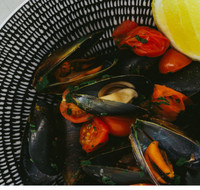 The Italian Diner - Restaurants Sydney
