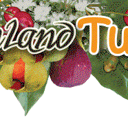 Bushland Tukka Cafe  Catering - Restaurants Sydney