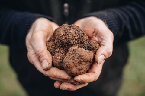 A Taste Of Truffles - Restaurants Sydney 0