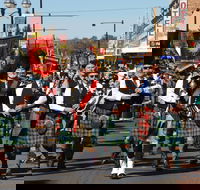 Australian Celtic Festival - Restaurants Sydney