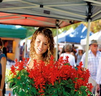 Ballina Missingham Farmers Market - Restaurants Sydney