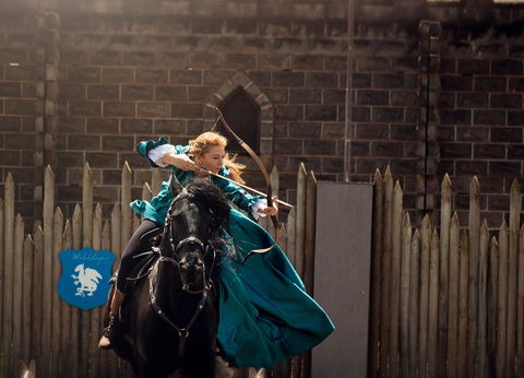 Baroque Horse Festival - Restaurants Sydney 0