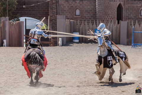 Baroque Horse Festival - Restaurants Sydney 2