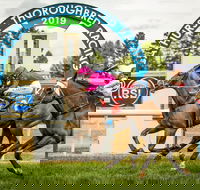 Bathurst Cup - Restaurants Sydney