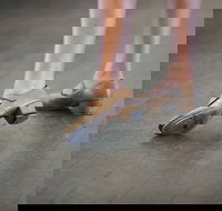 Beginner Tap - Restaurants Sydney