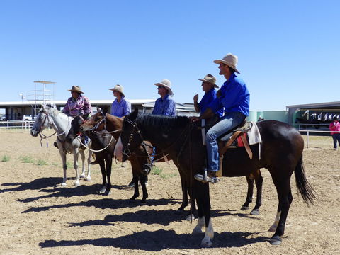 Betoota Horse And Motorbike Gymkhana - Restaurants Sydney 1
