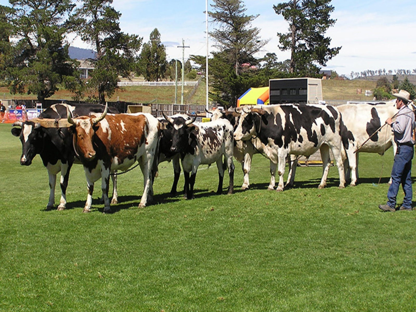 Brighton TAS Restaurants Sydney