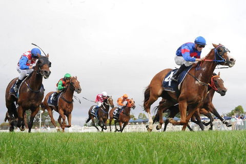 Christmas Cup Race Day - Restaurants Sydney 0