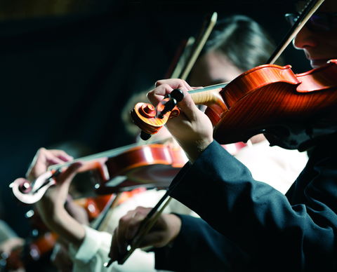 Crossroads Festival Of Chamber Music - Restaurants Sydney 0