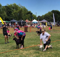 Dogs in the Park Orange - Restaurants Sydney