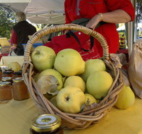 Euroa Village Farmers' Market - Restaurants Sydney