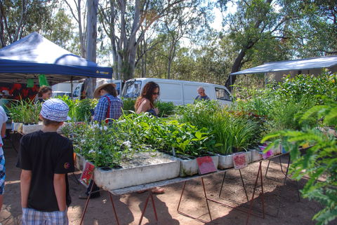 Fernvale Country Markets - Restaurants Sydney 1