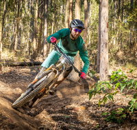 Fox Superflow sealed by Stan's Race  Ourimbah - Restaurants Sydney