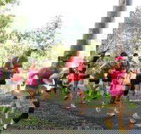 Gladstone Weekly Parkrun - Restaurants Sydney