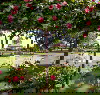 Griffith Spring Fest - Restaurants Sydney