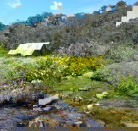 Hedonistic Hiking's Falls Creek to Hotham - Restaurants Sydney