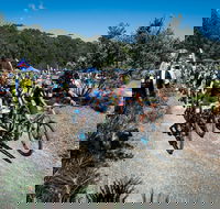 JetBlack Wild Wombat MTB Challenge - Restaurants Sydney