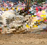 Jindabyne's Man From Snowy River Rodeo - Restaurants Sydney