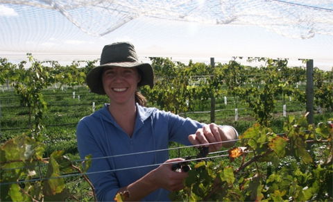 Kingsdale Wines - Cellar Door Wine Tastings - Restaurants Sydney 0