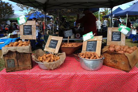 Lawson Park Markets - Restaurants Sydney 0