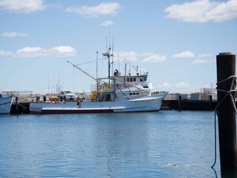 Love Sea Food Port Stephens - Restaurants Sydney 1