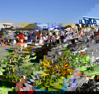 Maclean Community Monthly Markets - Restaurants Sydney