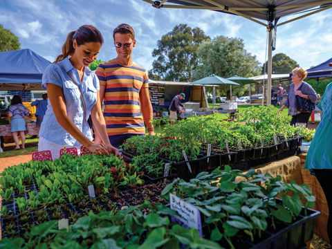 Margaret River Farmers Market - Restaurants Sydney 1