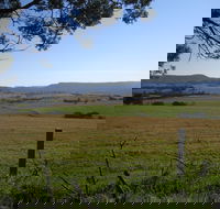 Milton Village Showground Markets - Restaurants Sydney