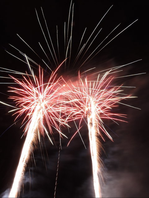 New Years Eve Fireworks Spectacular And Family Fun Night - Restaurants Sydney 1