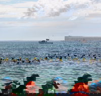 Nowra Toyota triHusky Huskisson Triathlon Festival Little Husky - Restaurants Sydney