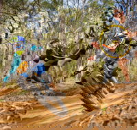 NSW State Downhill Mountain Bike Championships - Restaurants Sydney