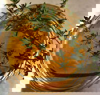 Online live streaming class DIY Skincare Products - Restaurants Sydney