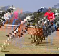 Pride of the West Races 2020 - Restaurants Sydney