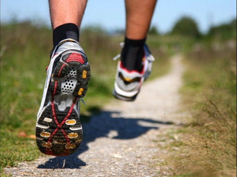 Run Dungog - Restaurants Sydney 1