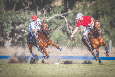 Scone Horse Festival - Restaurants Sydney 1