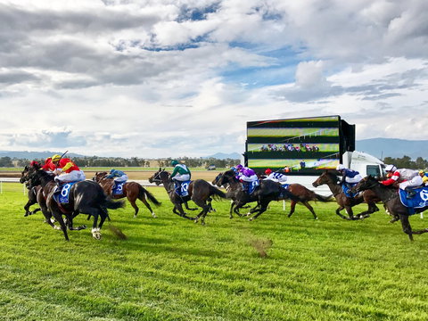 Scone Horse Festival - Restaurants Sydney 2