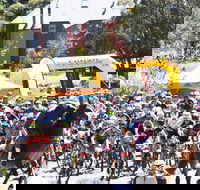 Snowies MTB Festival - Restaurants Sydney