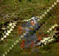 Sunshine Coast MTB Festival