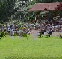 Tumut Derby Day - Restaurants Sydney