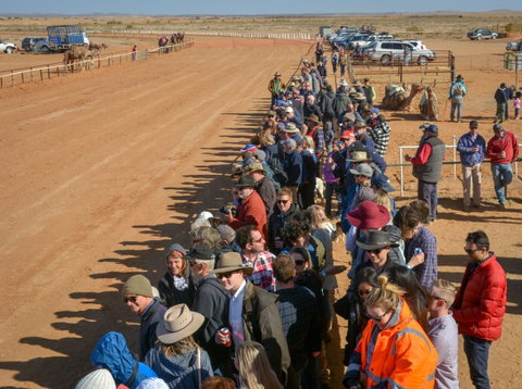 28th Marree Australasian CAMEL CUP 3 July 2021 - Restaurants Sydney 0