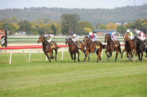 Aggies Race Day - Restaurants Sydney 0