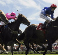 Batemans Bay Cup - Restaurants Sydney