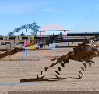 Bedourie Camel and Pig Races and Camp oven Cook-off - Restaurants Sydney