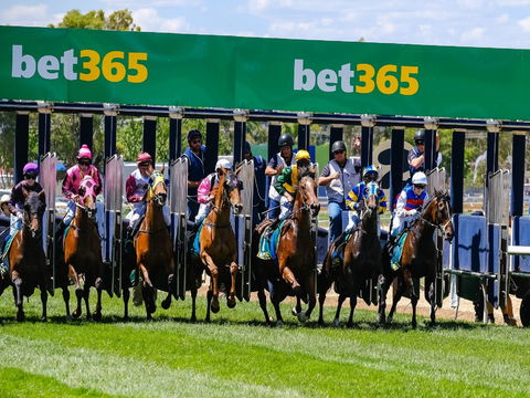 Bet 365 Caulfield Cup Day At Wodonga Race Course - Restaurants Sydney 1