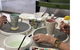 Ceramic Painting Class - thumb 0