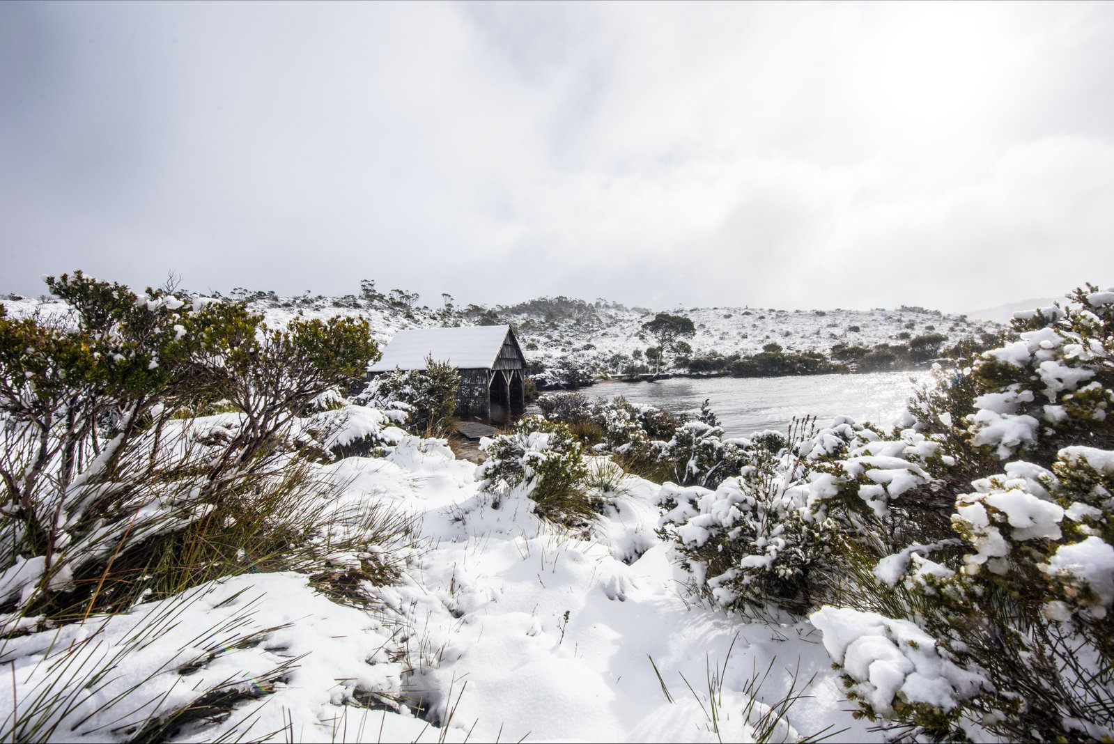 Cradle Mountain TAS Restaurants Sydney