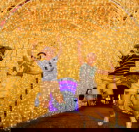 Christmas Lights Spectacular New Year's Eve at Hunter Valley Gardens - Restaurants Sydney