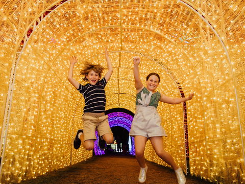 Christmas Lights Spectacular New Year's Eve At Hunter Valley Gardens - Restaurants Sydney 0